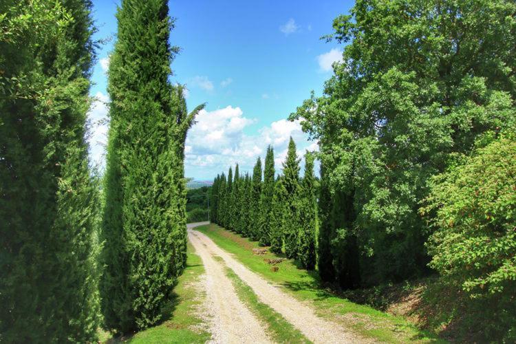 Castiglione dʼOrcia Podere Il Tigliolo מראה חיצוני תמונה